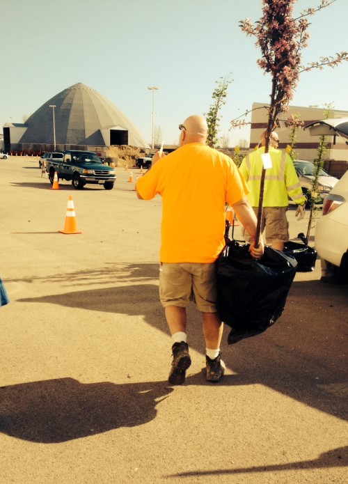 Arbor Day Tree Sale The City of Naperville