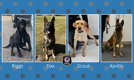 four police dogs with text: Riggs, Dax, Scout and Apollo