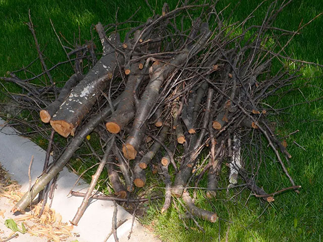 Pile of correctly stacked brush on the ground near a curb