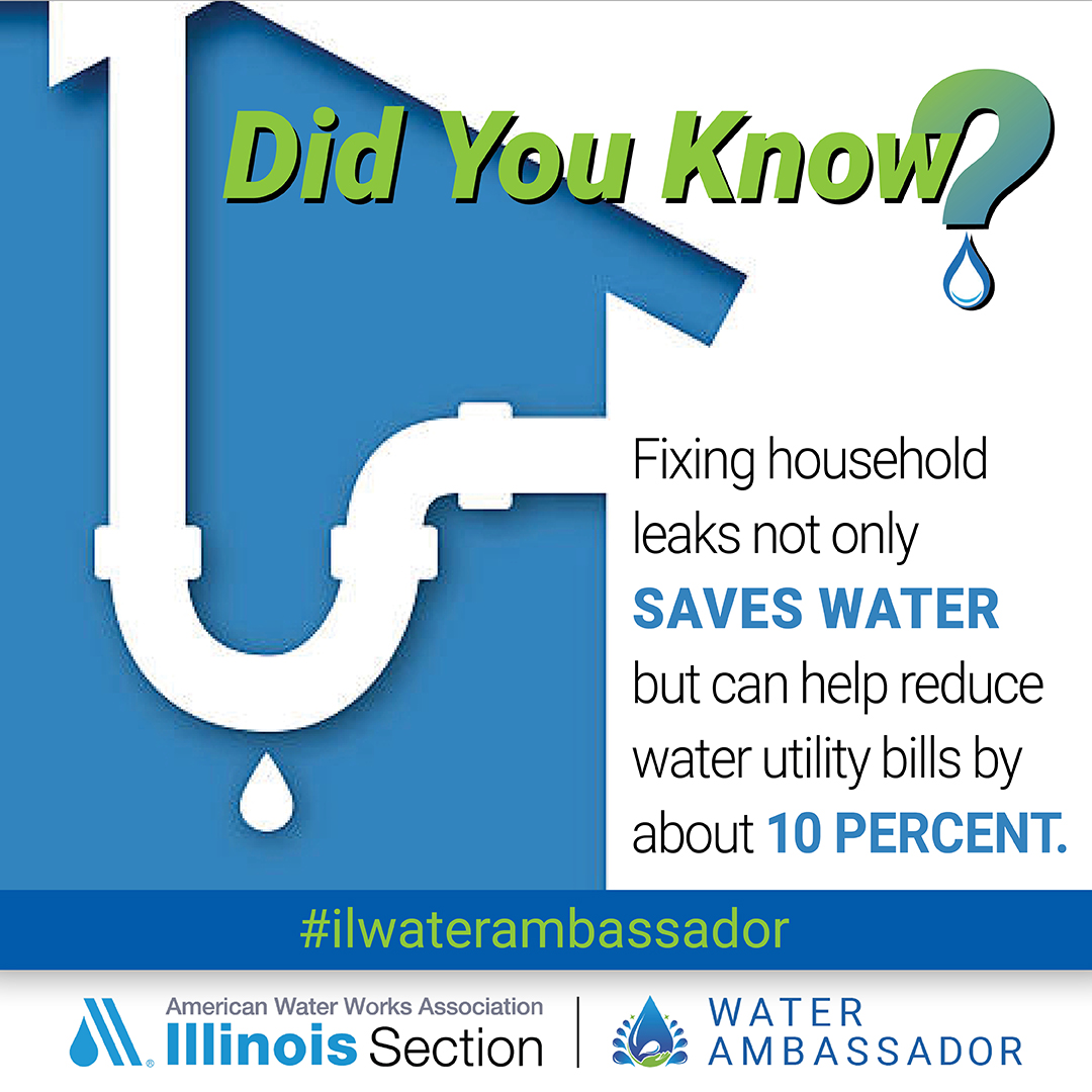 A graphic titled "Did You Know?" features a simplified white outline of household pipes with a dripping faucet. Below the pipes, a large green question mark with a blue water droplet inside emphasizes the question. The text to the right states, "Fixing household leaks not only SAVES WATER but can help reduce water utility bills by about 10 PERCENT."