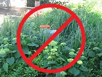 Bad landscaping around a utility pedestal