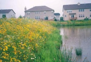 Stormwater Pond