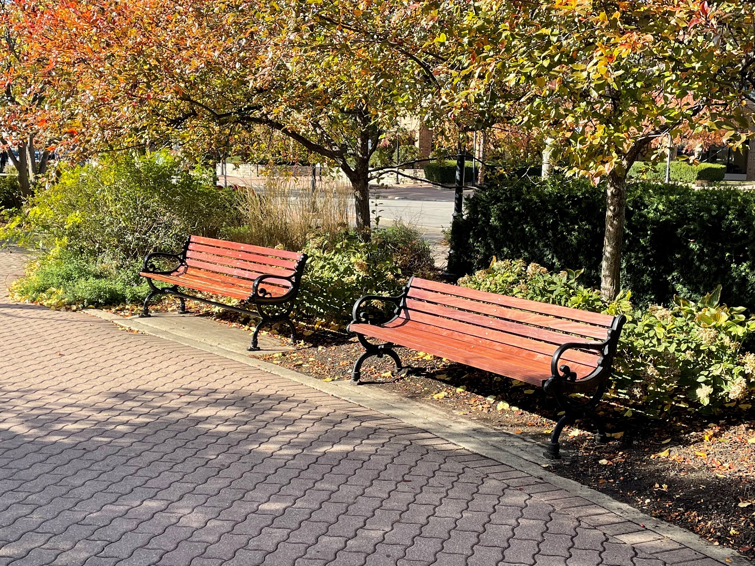 benches Riverwalk gifts edited.jpg