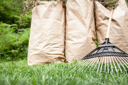 2025 Yard Waste Collection