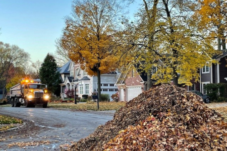 2025 Bulk Curbside Leaf Collection Program