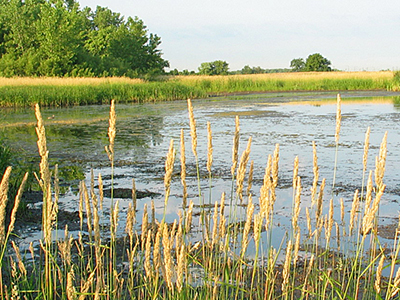 Forest Preserve District of DuPage County