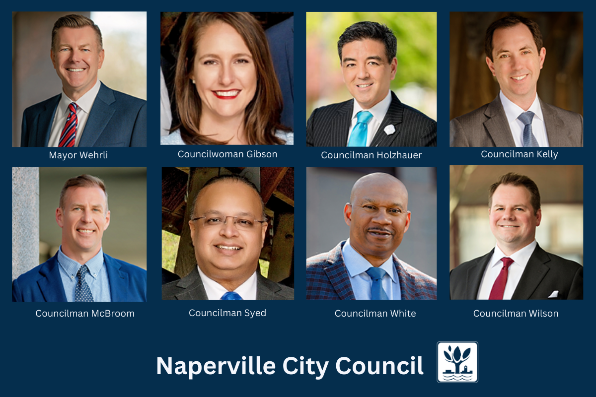 Members of the 2025 Naperville City Council.