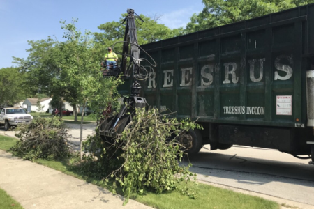 2025 Curbside Bulk Brush Collection
