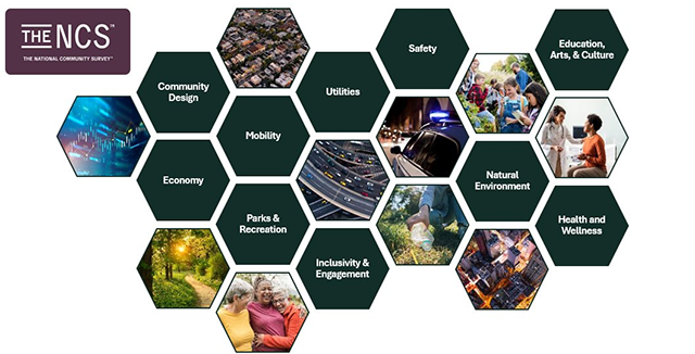 An infographic detailing the ten main "facets" of community livability: Economy, Mobility, Community Design, Utilities, Safety, Natural Environment, Parks & Recreation, Health & Wellness, Education Arts & Culture, and Inclusivity & Engagement.