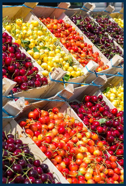 4-in-1 Combo Cherry tree