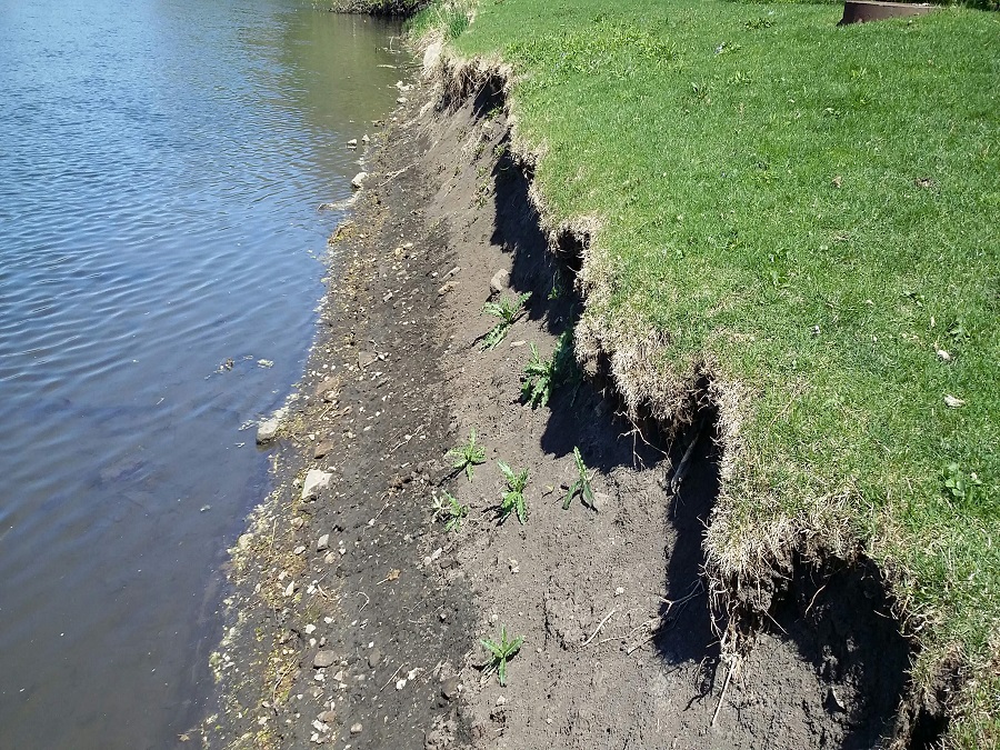 Streambank Erosion