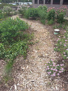 The path through the Pollination Station